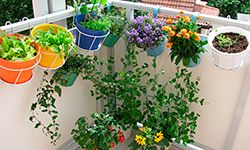 Inexpensive changes – like growing your own herbs – can have a big environmental impact.